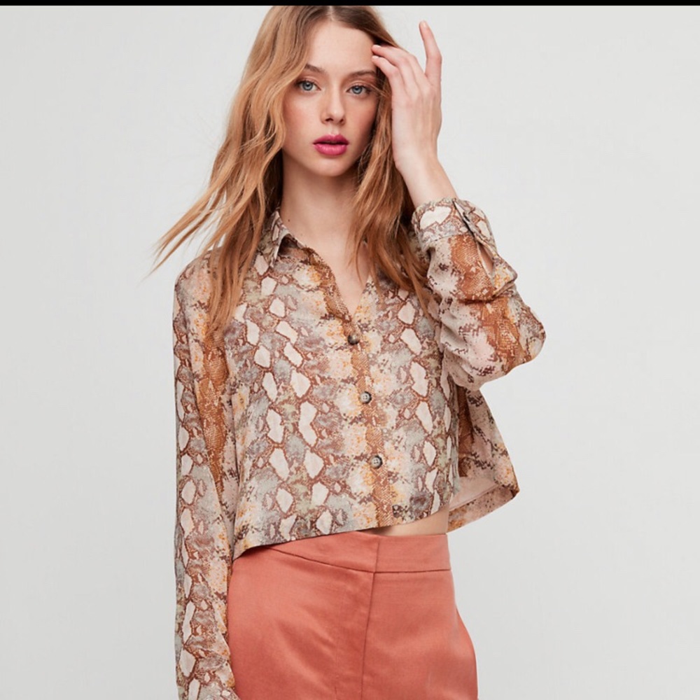 Henrietta Aritzia Blouse